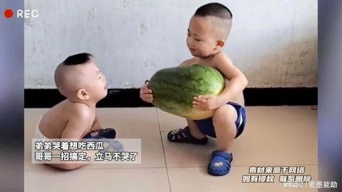 瓜哥带吃瓜搞笑视频,吃瓜搞笑视频大集合