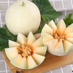 粘土吃瓜头像怎么做视频,轻松制作个性化视频教程