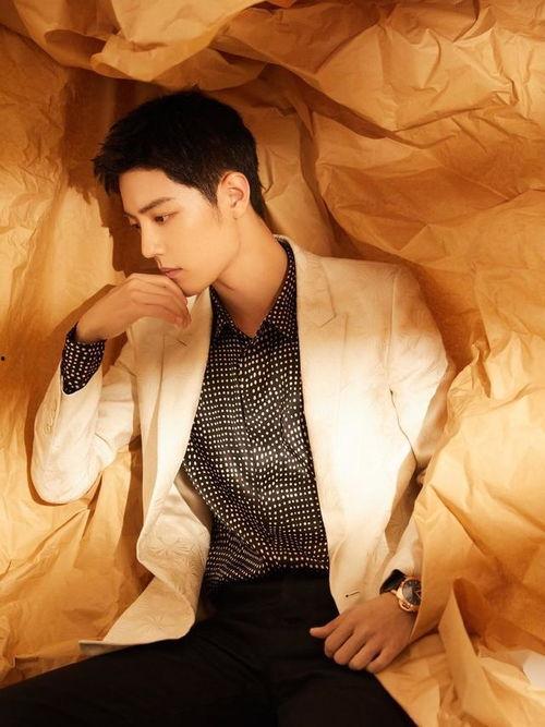 肖战带脑吃瓜视频素材,趣味横生幕后花絮大揭秘