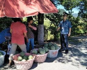 鼓浪屿吃瓜群众视频大全,吃瓜群众视频大盘点