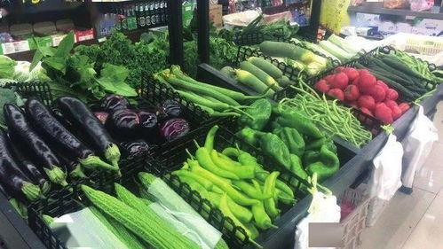 阜阳海伦斯吃瓜视频,一场引发网友热议的美食盛宴