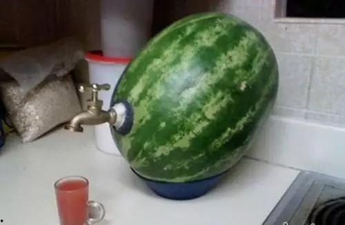 搞笑吃脆瓜视频,搞笑吃脆瓜视频，笑料十足，快来一起“瓜”乐无穷！