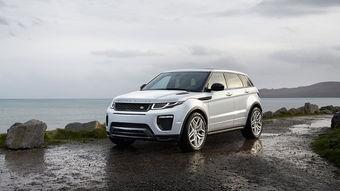 路虎吃瓜视频真实记录,真实记录野生动物的趣味瞬间