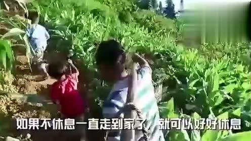 落九川吃瓜视频在哪看,热门平台一网打尽