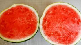 落九川吃瓜视频在哪看,热门平台一网打尽