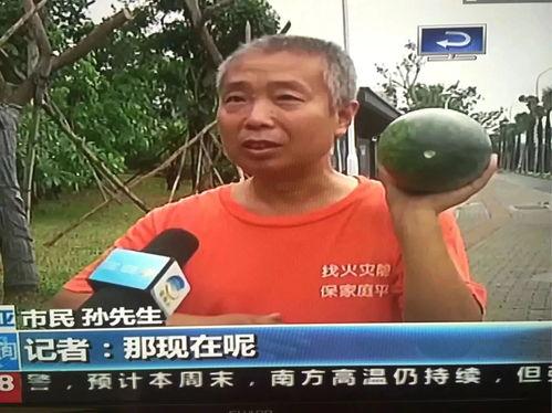 郑州市吃瓜群众事件视频