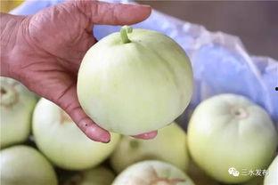 田心三水视频吃瓜群,揭秘娱乐圈幕后故事