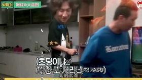 吃瓜视频随便传播是真的吗,揭秘网络谣言的真相与误区