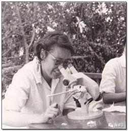 吃瓜群众的老奶奶视频播放,老奶奶吃瓜群众视角下的视频播放揭秘