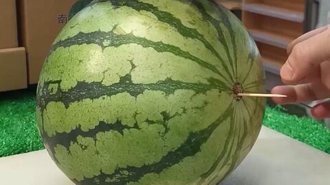 潍坊吃瓜事件过程视频,一场网络热议的真相揭秘