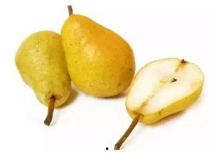 雪梨瓜有毒吗可以吃吗视频,揭秘其是否可食用之谜