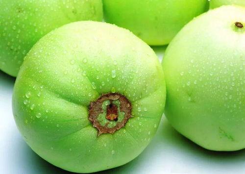 雪梨瓜有毒吗可以吃吗视频,揭秘其是否可食用之谜