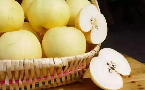 雪梨瓜有毒吗可以吃吗视频,揭秘其是否可食用之谜