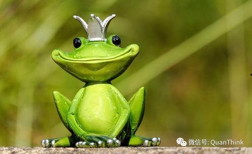 快乐家族大蛙吃瓜视频大全,笑料横生视频大全集锦