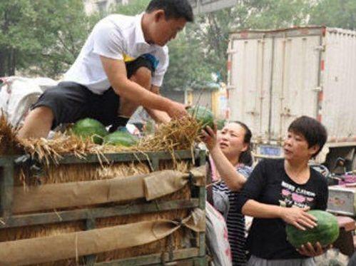 镇平县魏湾吃瓜视频,一场夏日里的欢乐盛宴