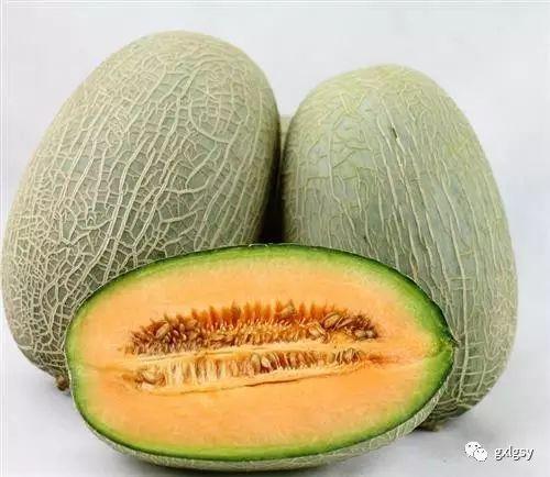 日本富豪吃哈密瓜事件视频,一场奢华的味蕾盛宴