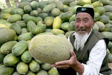 日本富豪吃哈密瓜事件视频,一场奢华的味蕾盛宴