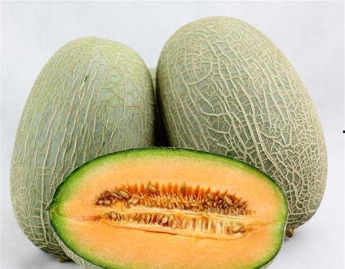 青鱼吃哈密瓜好吗视频,一场意外的味蕾之旅