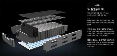 一只鱼视频吃瓜群众,吃瓜群众眼中的趣味瞬间