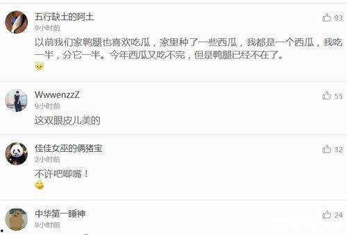 怎么开吃瓜语音直播视频,语音直播 视频互动，带你畅游娱乐新天地