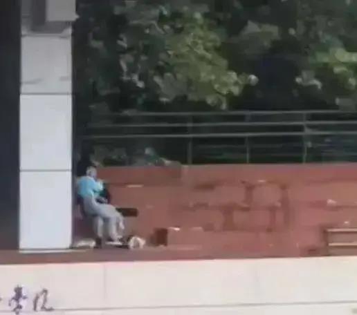 意大利吃瓜的视频,一场视觉与味蕾的双重盛宴