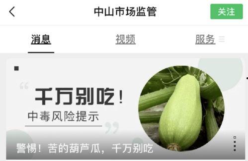 葫芦瓜能炮制着吃吗视频,解锁家常烹饪新技巧