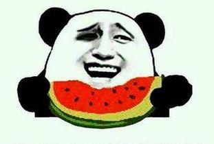 吃瓜伤感搞笑视频素材,瓜田里的欢乐与伤感瞬间