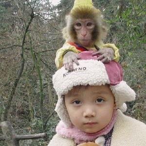 蒙眼吃瓜最新视频,挑战极限，笑料百出！