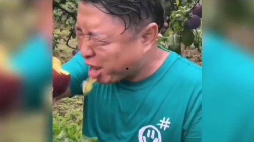 吃瓜带货搞笑视频,搞笑视频带你领略趣味购物新体验