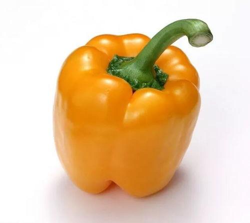 黄方瓜怎么吃最好吃视频,视频教你如何烹饪最佳口感