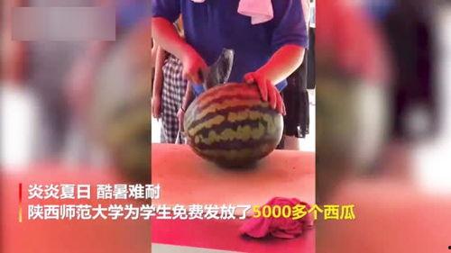 解读吃瓜老师视频教程,轻松掌握瓜界秘籍