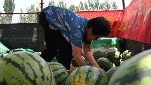 吕梁吃瓜村事件视频,揭秘乡村网络暴力背后的真相