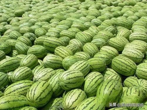 网上吃瓜事情视频,揭秘吃瓜群众眼中的热门事件视频