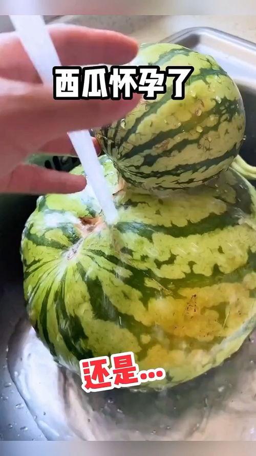 吃瓜搞怪配音视频,吃瓜群众变身喜剧大师